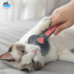 CatComb ™ Peigne à aiguilles spécial pour chat | Chat
