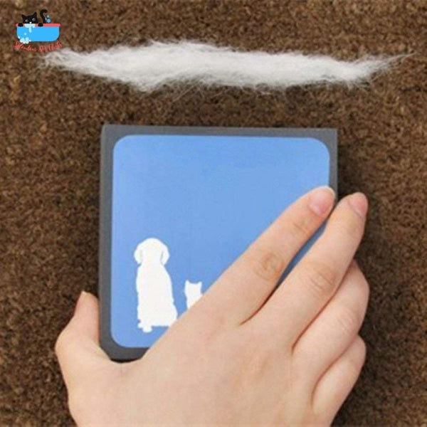 SpongePet™ Brosse en mousse pour nettoyage des poils | Chat